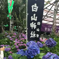 白山神社の写真・動画_image_142640