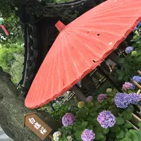 白山神社の写真・動画_image_142641