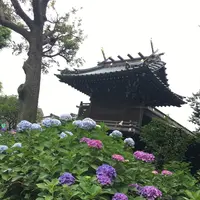 白山神社の写真・動画_image_142643