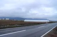 諏訪湖いちご園の写真・動画_image_142654