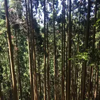 鞍馬寺の写真・動画_image_142677