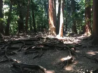 鞍馬寺の写真・動画_image_142679