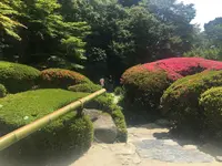 詩仙堂丈山寺の写真・動画_image_142689