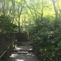 祇王寺の写真・動画_image_142744