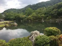 天龍寺の写真・動画_image_142749