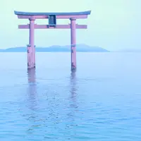 白鬚神社の写真・動画_image_142788