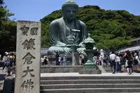 鎌倉大仏（高徳院）の写真・動画_image_142808