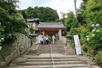 矢田寺の写真・動画_image_142970