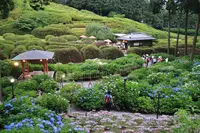 三室戸寺の写真・動画_image_142991