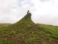 大雪 森のガーデンの写真・動画_image_143030