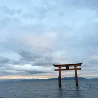 白鬚神社の写真・動画_image_143039