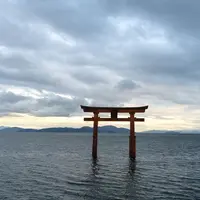 白鬚神社の写真・動画_image_143040