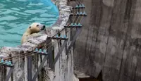 円山動物園の写真・動画_image_143119