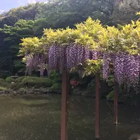新宿御苑の写真・動画_image_143167