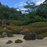 明月院（あじさい寺）の写真・動画_image_143178
