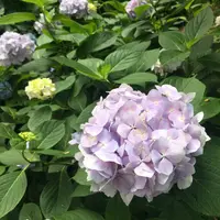 葛原岡神社の写真・動画_image_143192