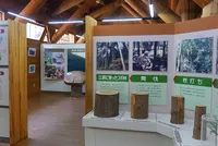 ２１世紀の森公園の写真・動画_image_143858