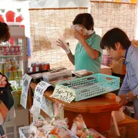 モネの池（名もなき池）の写真・動画_image_143862