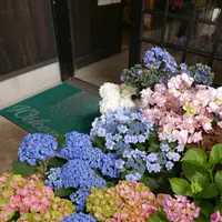水と緑のふる里森の駅の写真・動画_image_143867