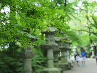 香取神宮の写真・動画_image_143874