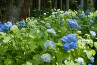 ２１世紀の森公園の写真・動画_image_143889