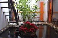 Cuc Gach Quan Cafeの写真・動画_image_143930