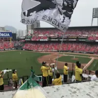 かしはらの写真・動画_image_144043