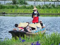 水郷佐原あやめパーク（旧 水郷佐原水生植物園）の写真・動画_image_144061