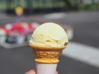 水郷佐原あやめパーク（旧 水郷佐原水生植物園）の写真・動画_image_144065