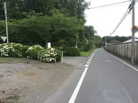 氷室あじさい坂の写真・動画_image_144182