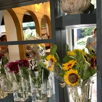 バロン（Ballon） の写真・動画_image_144183