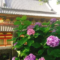 耕三寺・耕三寺博物館の写真・動画_image_144436