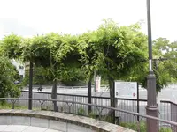 有岡城跡の写真・動画_image_144469