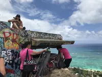 Pillbox Hikeの写真・動画_image_144513