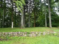 岩村城跡の写真・動画_image_144529