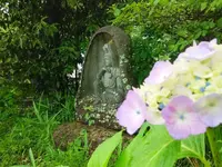 千畳敷岩の写真・動画_image_144649