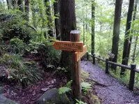 小坂の滝めぐりの写真・動画_image_144687