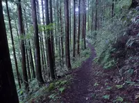 小坂の滝めぐりの写真・動画_image_144810