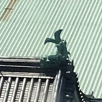 名古屋城の写真・動画_image_144901