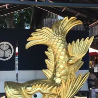 名古屋城の写真・動画_image_144904