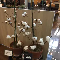 トヨタ産業技術記念館の写真・動画_image_144915