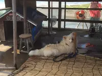 七里長浜 きくや商店の写真・動画_image_144997