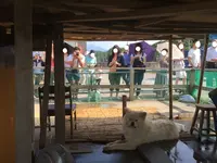 七里長浜 きくや商店の写真・動画_image_144998