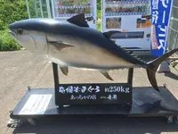 龍飛崎の写真・動画_image_145075