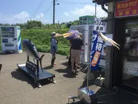 龍飛崎の写真・動画_image_145076