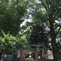 三芳野神社の写真・動画_image_145168
