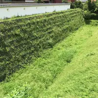 川越城中ノ門堀跡の写真・動画_image_145173