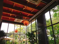 cds+の写真・動画_image_145201