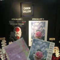 キヤノンサロンSの写真・動画_image_145249