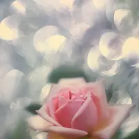 キヤノンサロンSの写真・動画_image_145250